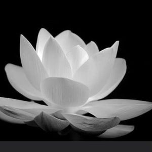 Meet your Posher, Quang trung